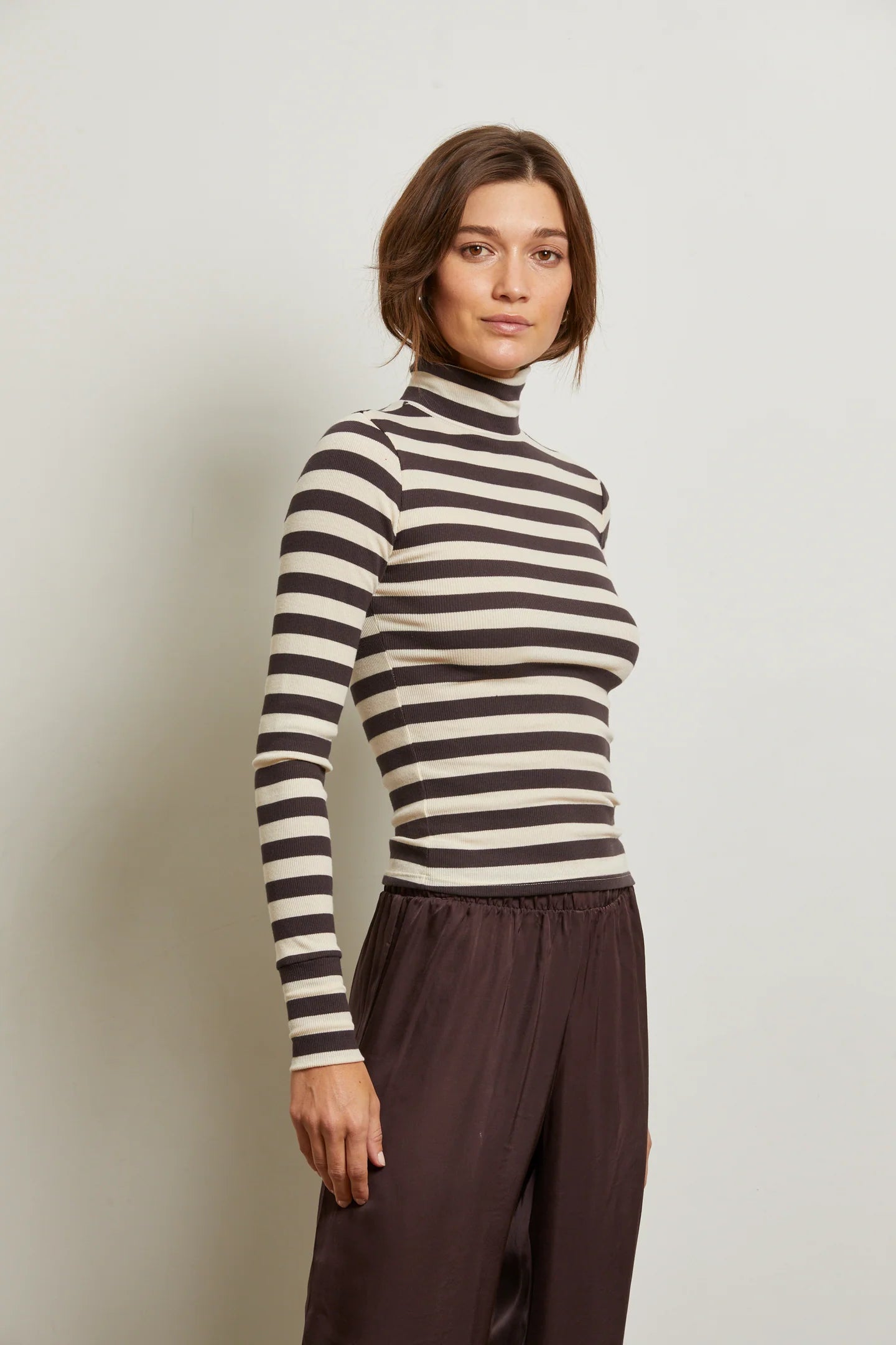 HAYDEN LUXE RIB STRIPE TURTLENECK