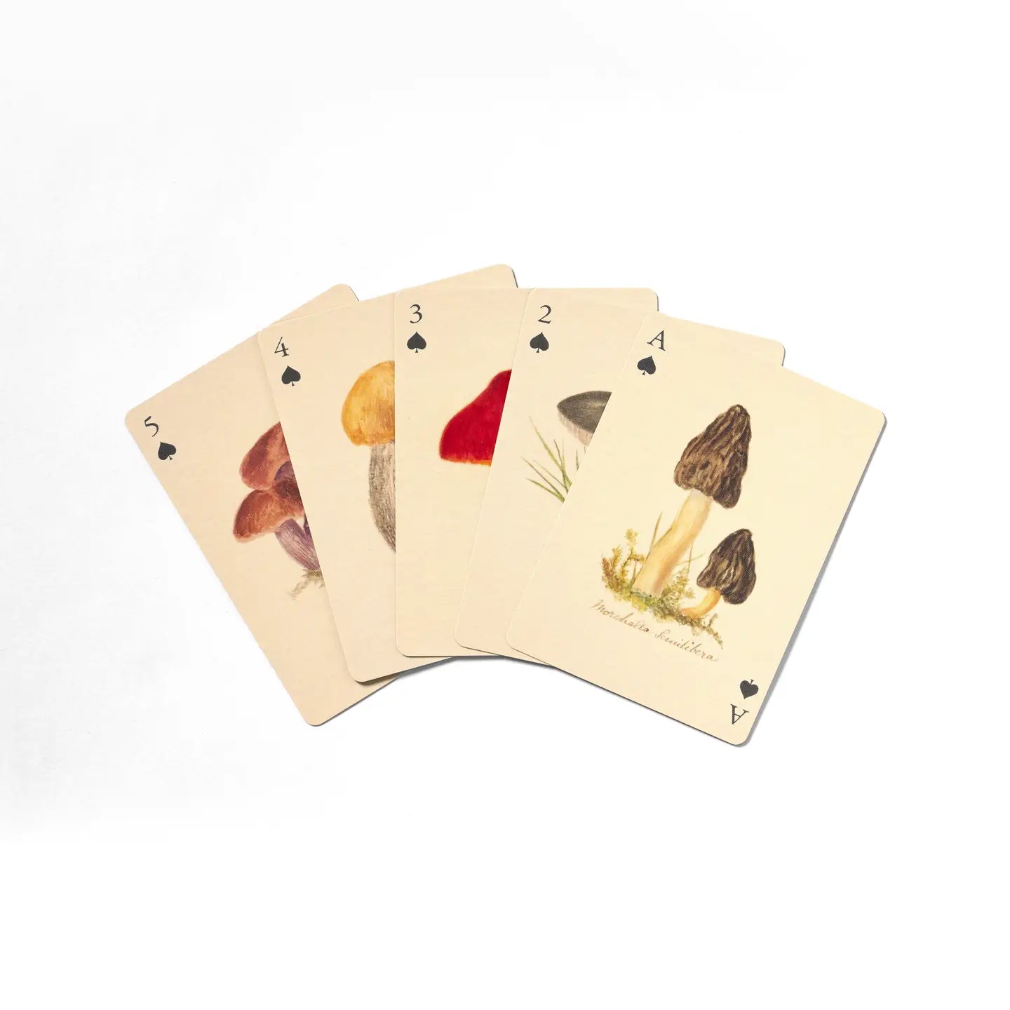 FUNGI PLAYING CARDS- TWO DECKS