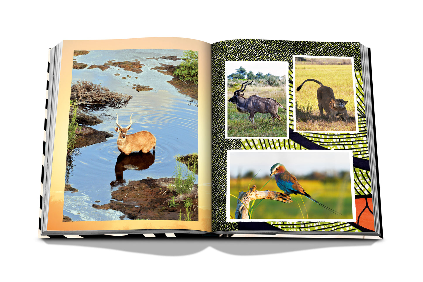 AFRICAN ADVENTURES BOOK