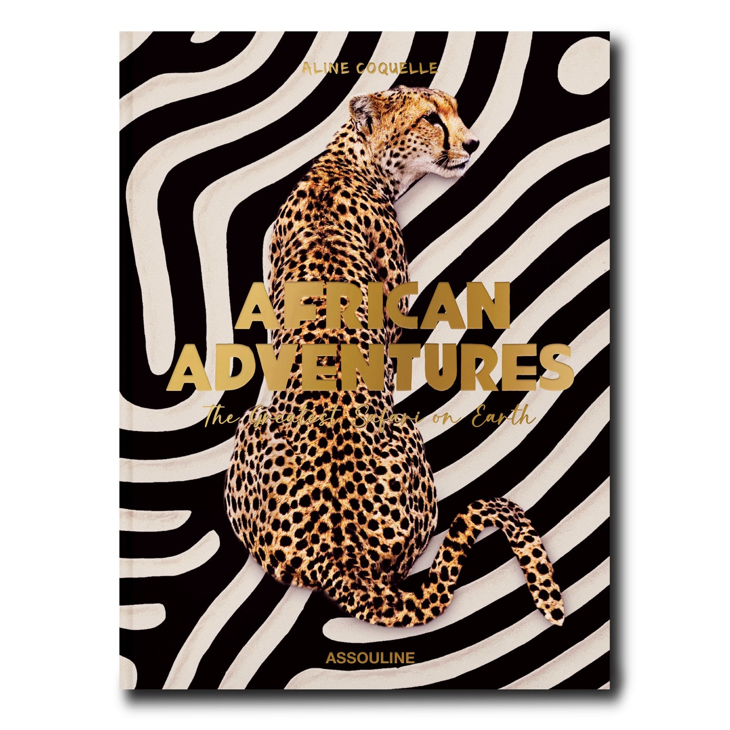 AFRICAN ADVENTURES BOOK