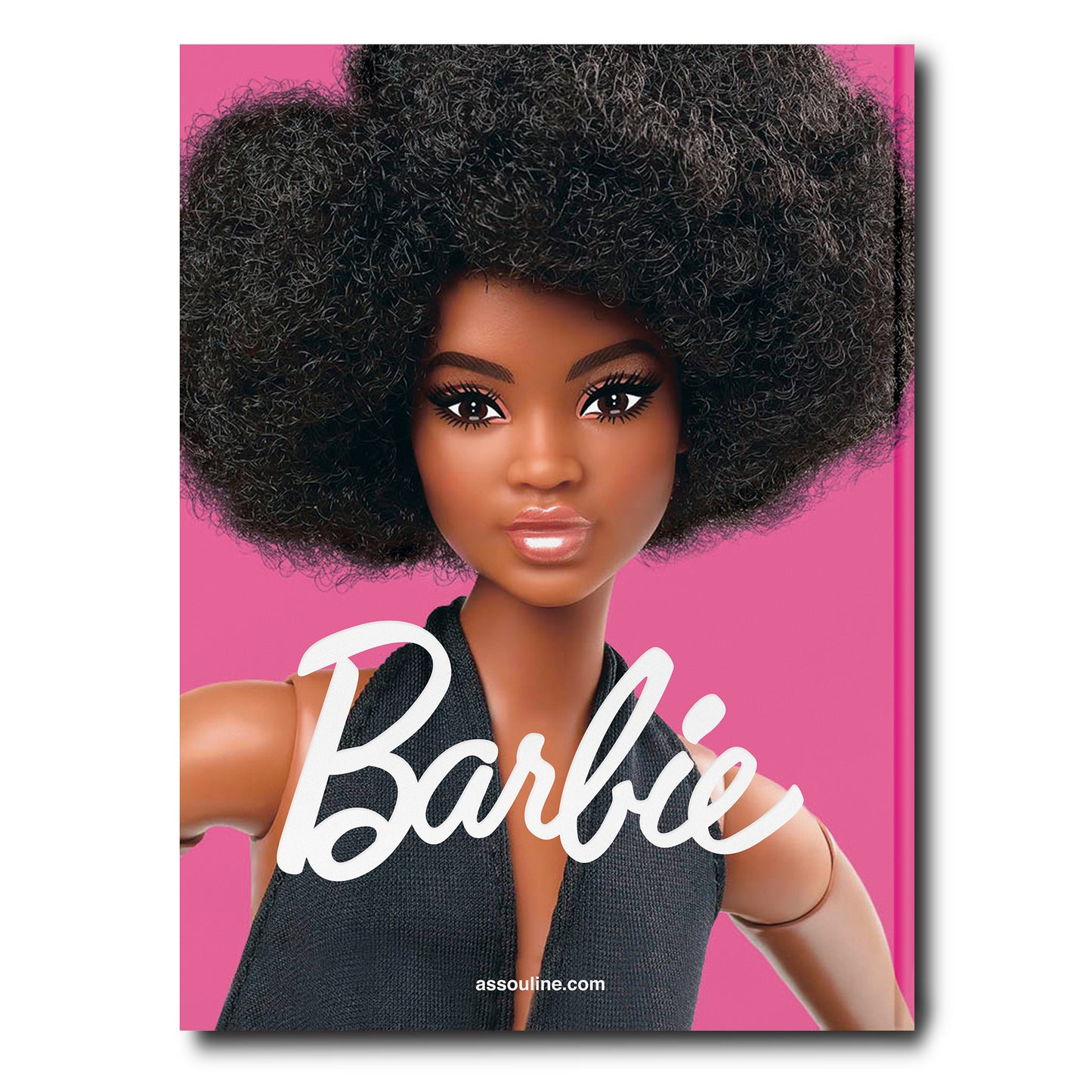 BARBIE BOOK