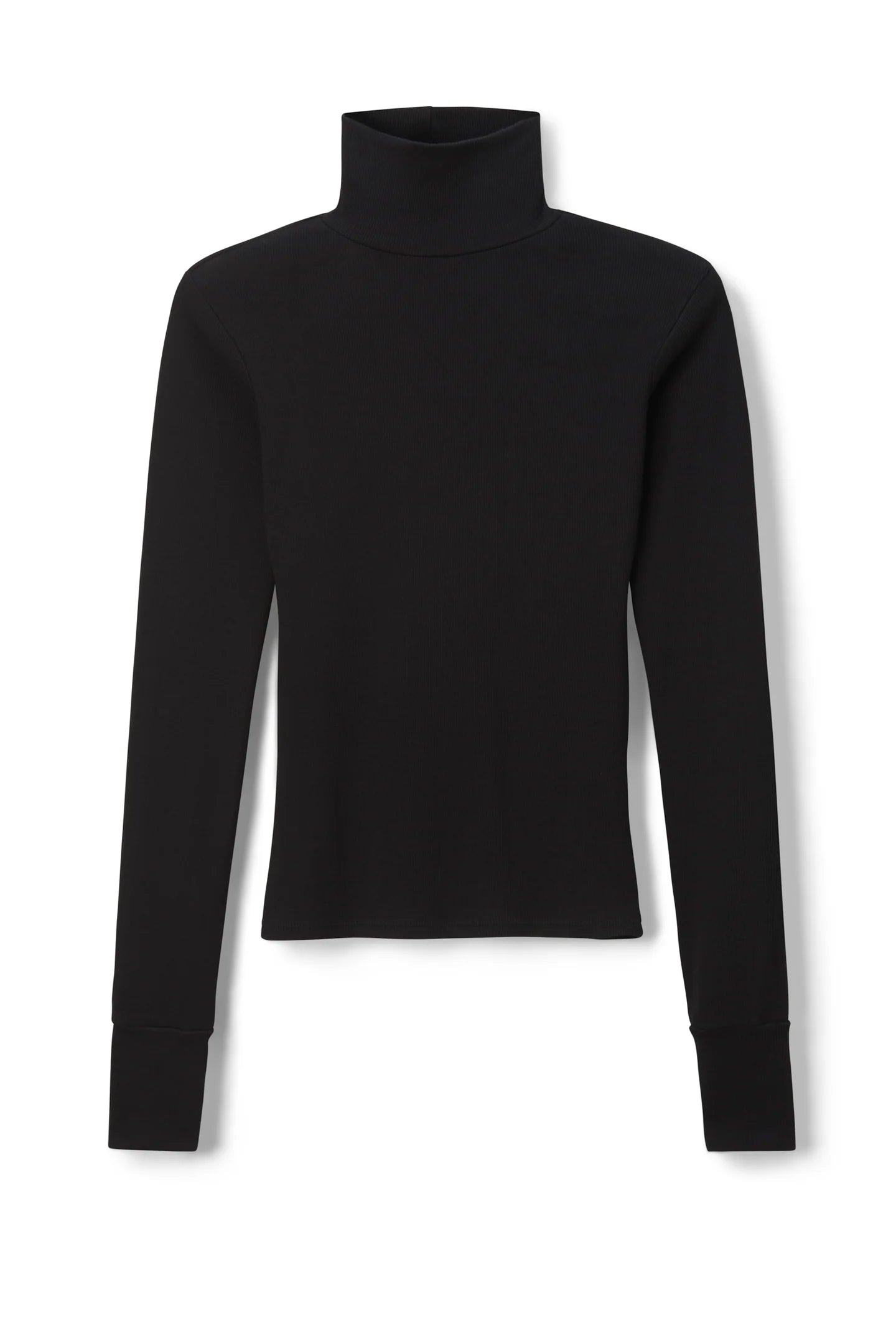 HAYDEN LUXE RIB TURTLENECK