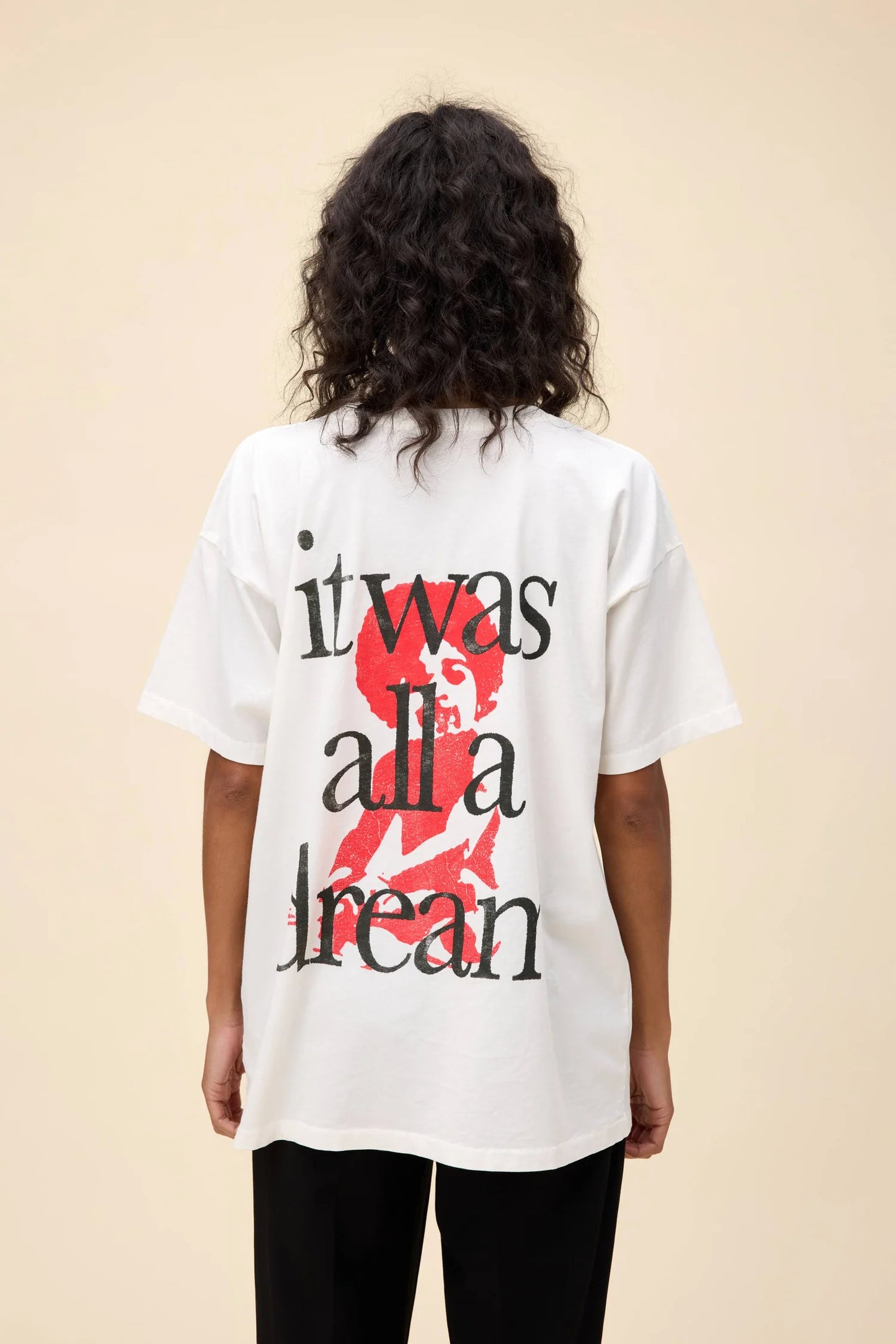 BIGGIE IT WAS ALL A DREAM MERCH TEE