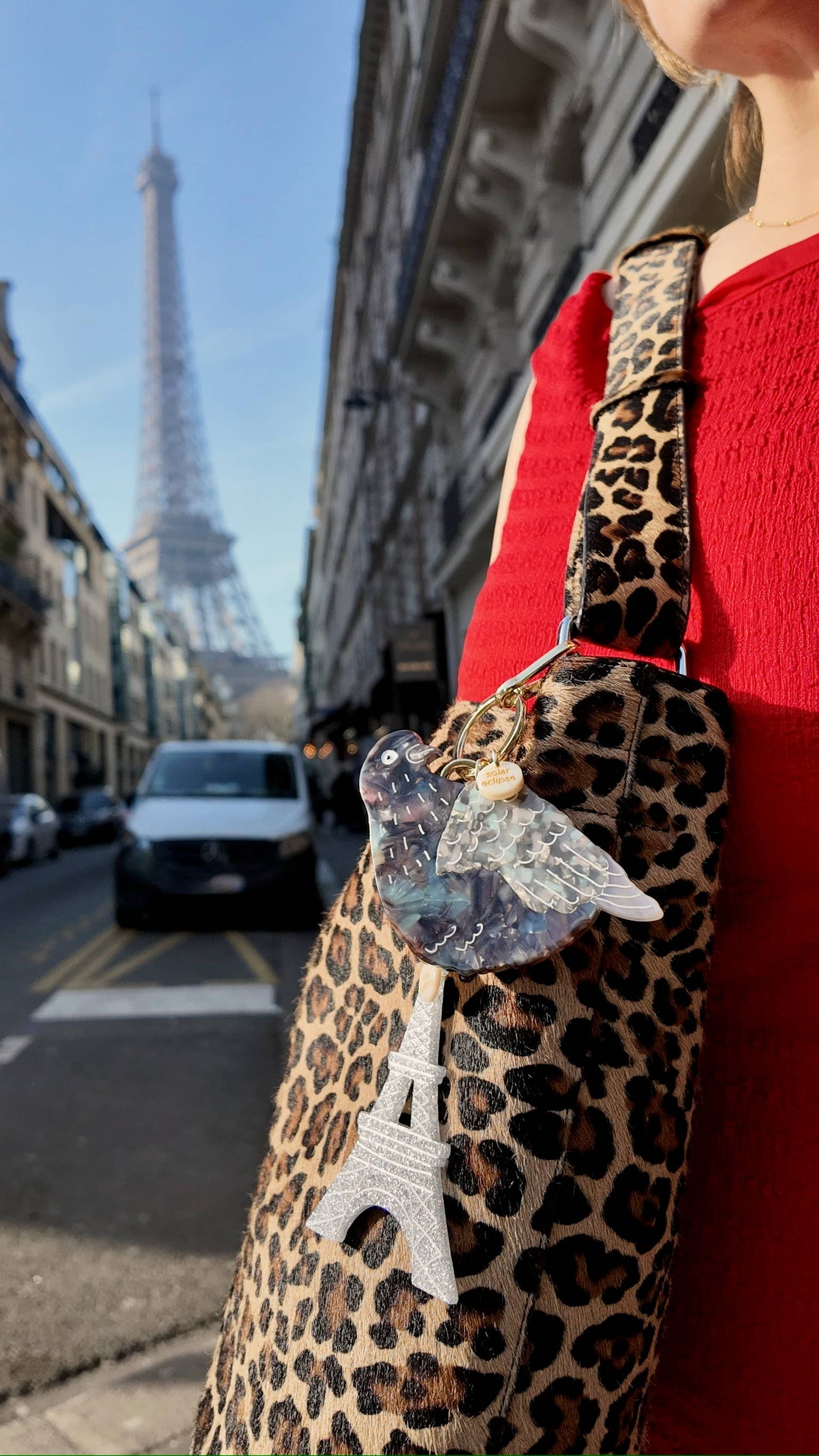 Hand-painted Pigeon Bag Charm + Keychain