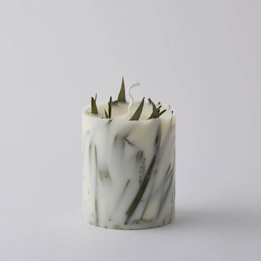 EVOLVE SOY CANDLE