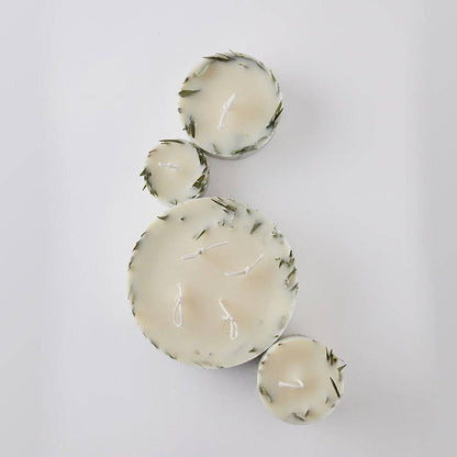EVOLVE SOY CANDLE