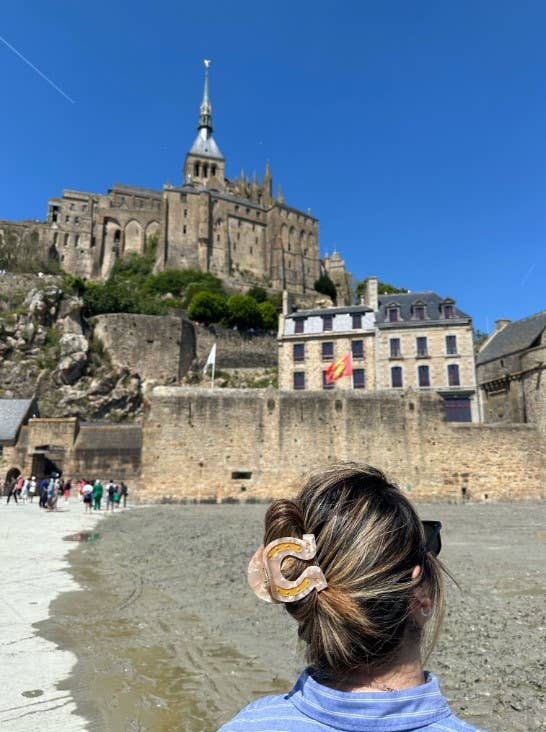 Hand-painted Lucky Horseshoe Hair Clip